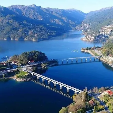 Os Girassois Da Carla