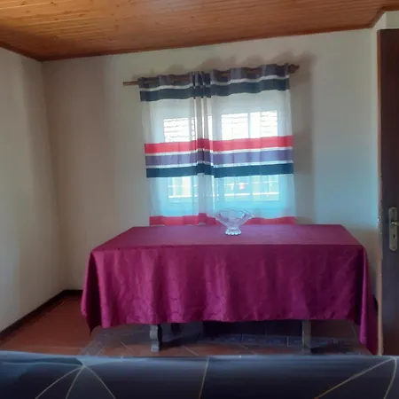 Os Girassois Da Carla * 布拉加