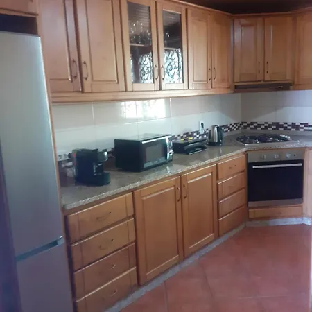 Os Girassois Da Carla