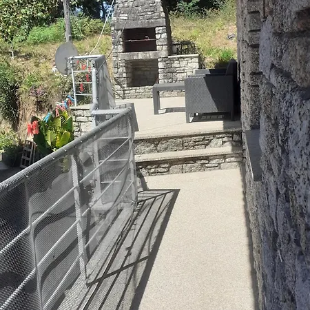 Os Girassois Da Carla