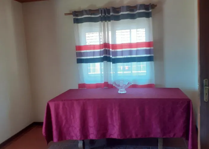 Os Girassois Da Carla * 布拉加