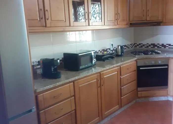 Os Girassois Da Carla