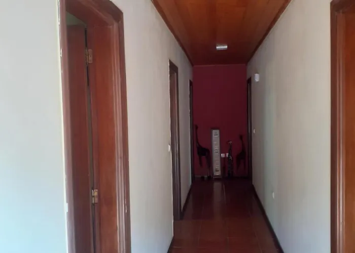 Os Girassois Da Carla 布拉加