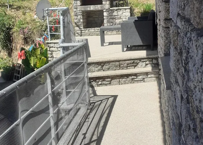 Os Girassois Da Carla