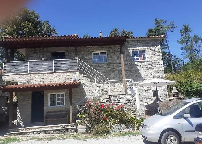 Os Girassois Da Carla Braga